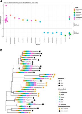 16S rRNA gene-based assessment of common broiler chicken sampling methods: Evaluating intra-flock sample size, cecal pair similarity, and cloacal swab similarity to other alimentary tract locations